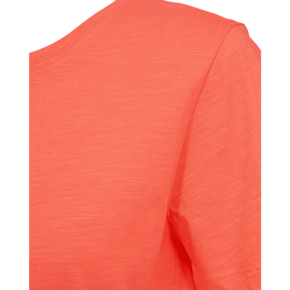 FQVIVA-TEE Fresh salmon
